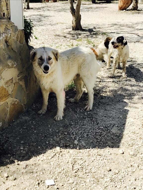 Agriturismo Tenuta San Giovanni Casale Leto SantʼAngelo Muxaro Екстериор снимка